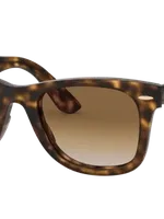 Ray Ban Ray In Brown