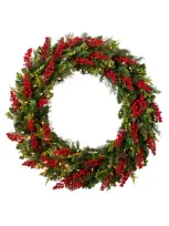 Balsam Hill Outdoor Berry Burst Wreath In Led Clear