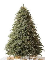 Balsam Hill Noble Fir Christmas Tree In Green