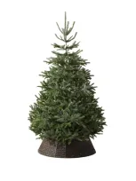 Balsam Hill Nordmann Fir Unlit Christmas Tree In Green