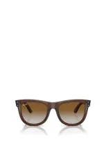 Ray Ban Ray-ban Sunglasses In Transparent Brown