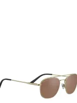 Serengeti Sunglasses Carroll In Crl