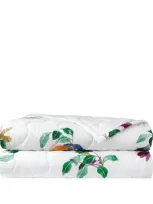 Yves Delorme Parfum Super King Bedcover In Green