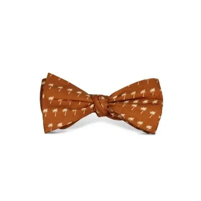 Tom Astin Palm Down Bow Tie