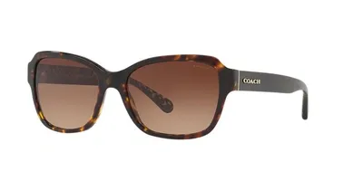 Coach Rectangle Acetate Sunglasses In Brown Gradient