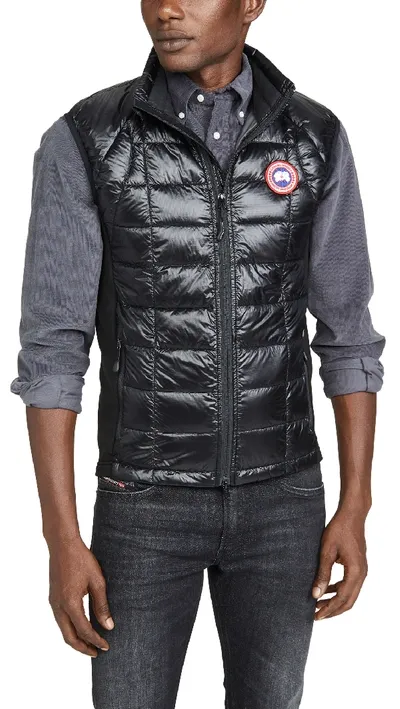 Canada Goose Hybridge Feather-down Padded Gilet In Black