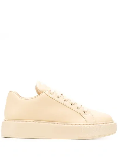 Prada Low-top Platform Sneakers In Neutrals