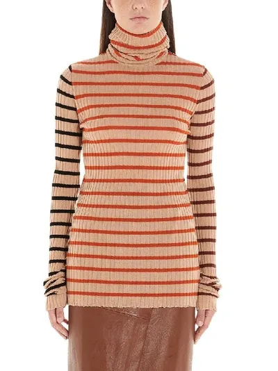 Nude Turtleneck Striped Jumper In Brown