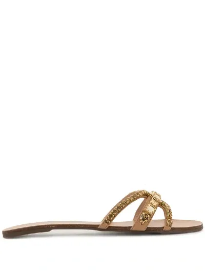 Schutz Studded Slides In Brown