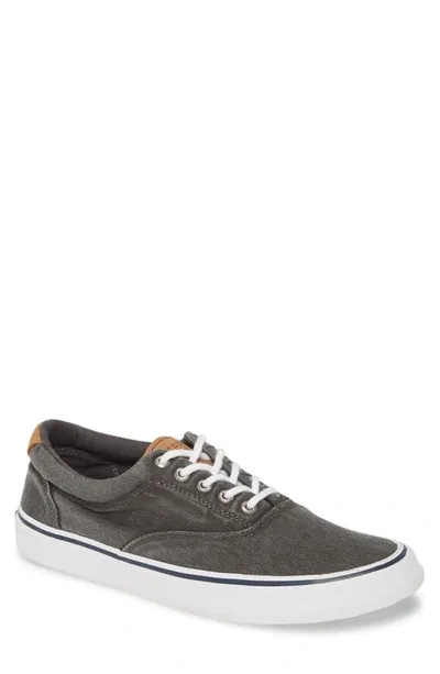 Sperry Striper Ii Cvo Core Sneaker In Sw Black Canvas