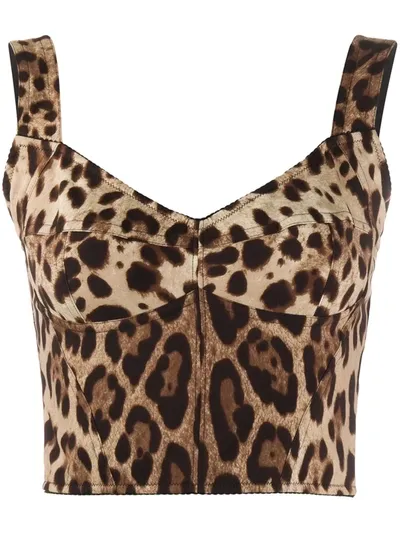 Dolce & Gabbana Diva Leopard-print Silk-blend Charmeuse Bustier Top In Brown