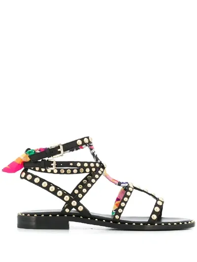 Ash Studded Cage Sandals In Black