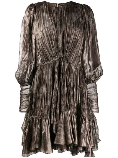 Maria Lucia Hohan Monica Pleated Silk Dress In Brown