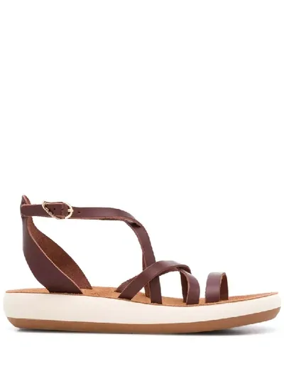 Ancient Greek Sandals Delia Comfort Sandals In Brown