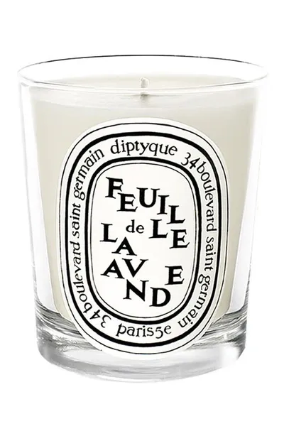 Diptyque Feuille De Lavande Small Scented Candle In Na