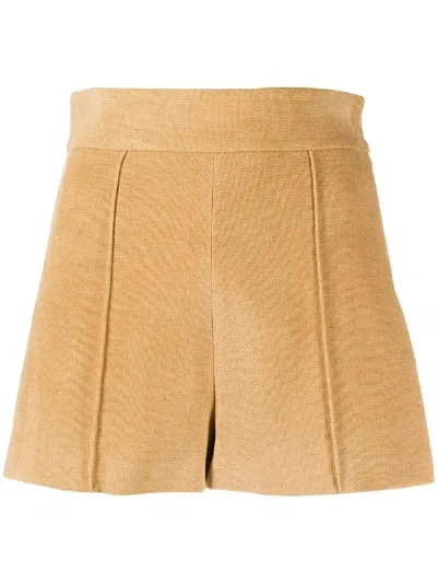 Elisabetta Franchi High-waisted Mini Shorts In Brown