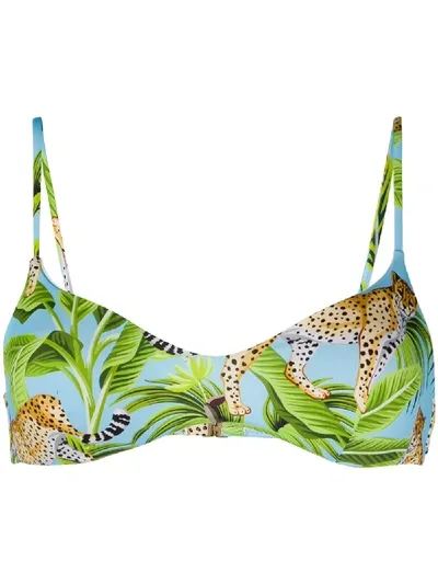 Mc2 Saint Barth Leopard-print Bikini Top In Blue