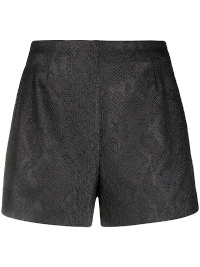 Roberto Cavalli Jacquard-woven Shorts In Black