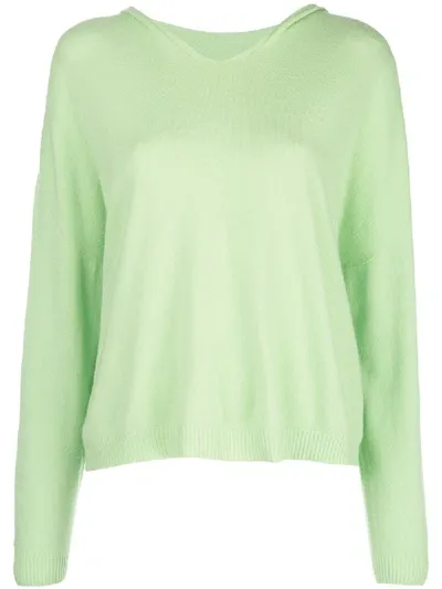 Apparis Aubrey Fine Knit Hoodie In Green