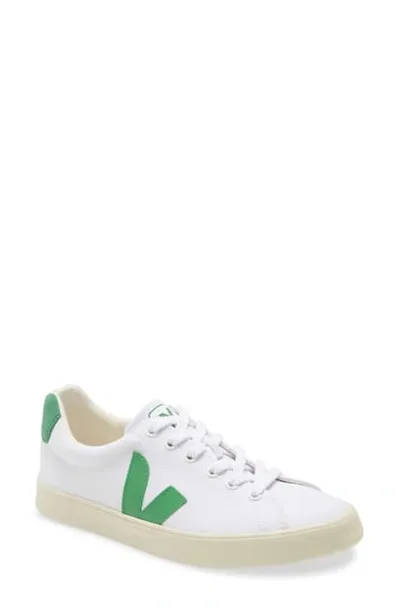 Veja Perforated Toe Sneakers  In White / Emeraude / Black