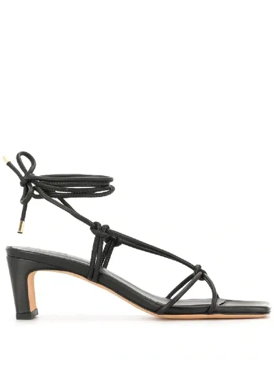 Anine Bing Graham Strappy Sandals In Black