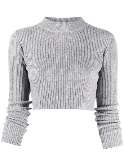 Andamane Ribbed Knit Cropped Jumper In Grey