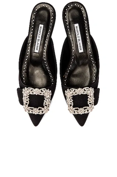 Manolo Blahnik Maysale 10 Jewel Mule In Black