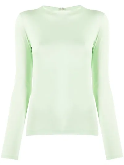 Sjyp Long Sleeve Semi-sheer Top In Green