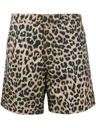 Allsaints Leopard Print Swimming Trunks In Neutrals