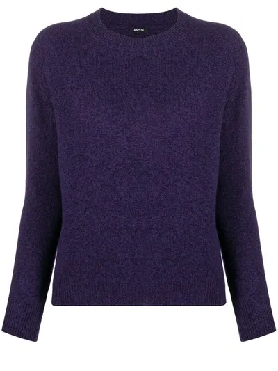 Aspesi Long-sleeve Jumper In Purple