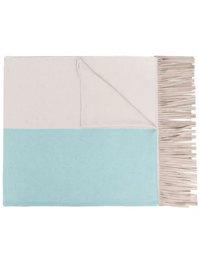 D-exterior Two-tone Fringed Scarf In Blue