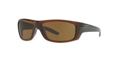 Sunglass Hut Collection Sunglasses, Hu2007 63 In Dark Brown