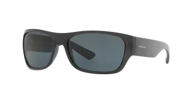 Sunglass Hut Collection Man Sunglasses Hu2013