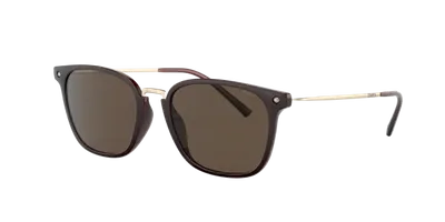 Starck Man Sunglass Sh5030 In Dark Brown