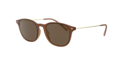 Starck Man Sunglass Sh5027 In Dark Brown