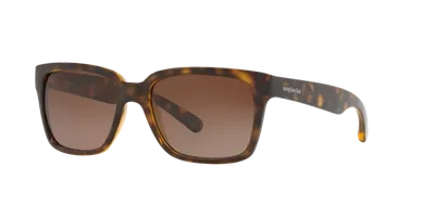 Sunglass Hut Collection Unisex  Hu2012