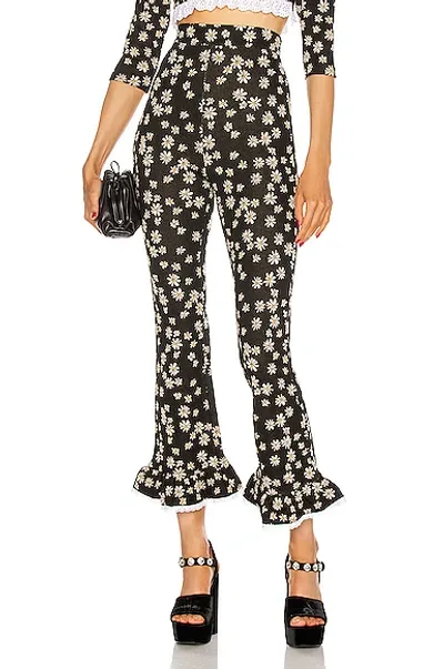 Miu Miu Daisy-print High-waisted Trousers In Black