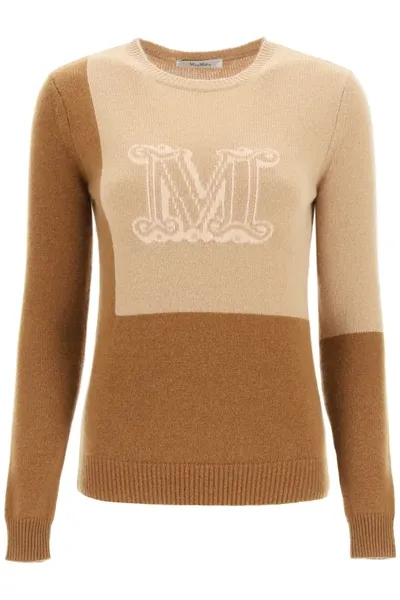 Max Mara Maxmara Caimano - Pure Cashmere Yarn Jumper In Beige,brown,pink