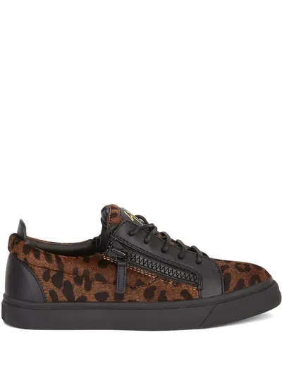 Giuseppe Zanotti Gail Low-top Sneakers In Brown