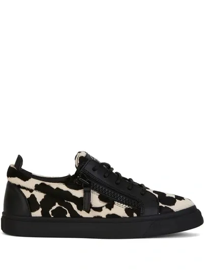 Giuseppe Zanotti Leopard Print Low-top Sneakers In Black