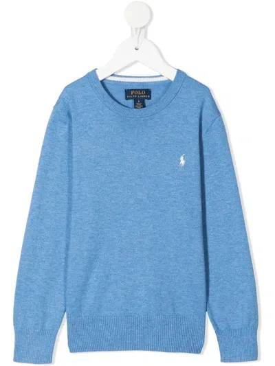 Ralph Lauren Kids' Signature Polo Pony Motif Jumper In Blue