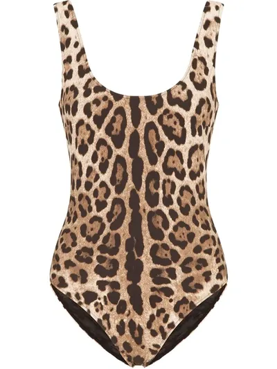 Dolce & Gabbana Leopard-print Swimsuit In Brown