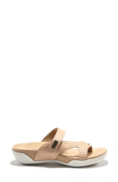 Halsa Footwear Hälsa Footwear Hälsa Darline Asymmetrical Slide Sandal In Taupe Leather