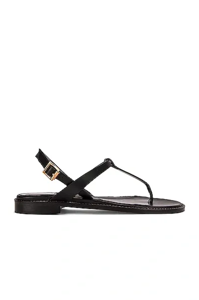 Manolo Blahnik Hata Sandal In Black