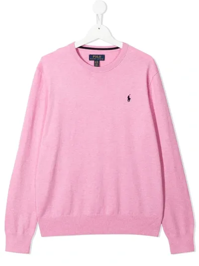 Ralph Lauren Kids' Signature Polo Pony Motif Jumper In Pink