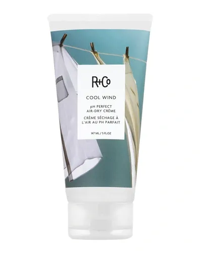 R + Co Cool Wind Ph Perfect Air Dry Cream