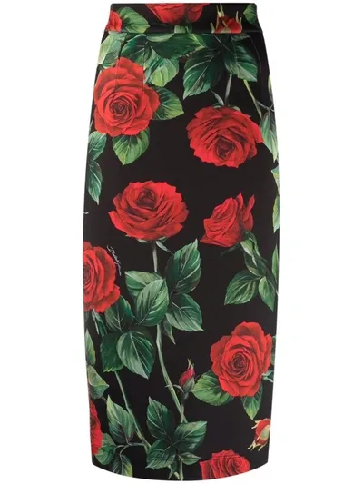 Dolce & Gabbana Rose-print High-waisted Pencil Skirt In Rose Nero