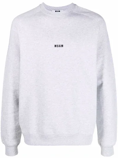 Msgm Crew Neck Sweatshirt With Logo In Gray