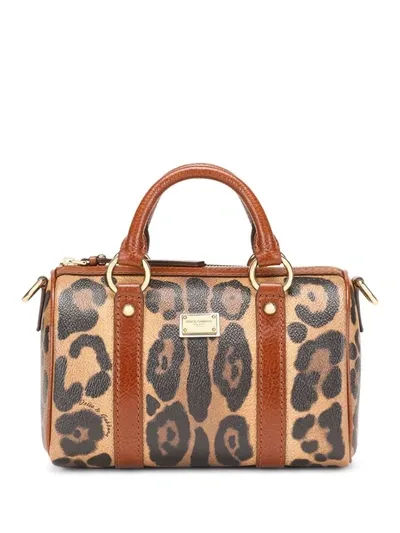 Dolce & Gabbana Small Leopard-print Handbag In Multicolor