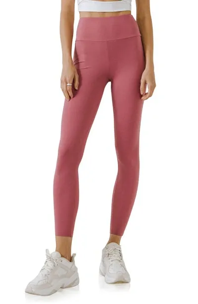 Grey Lab Leggings In Cassis